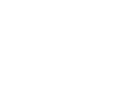 nen - lotus